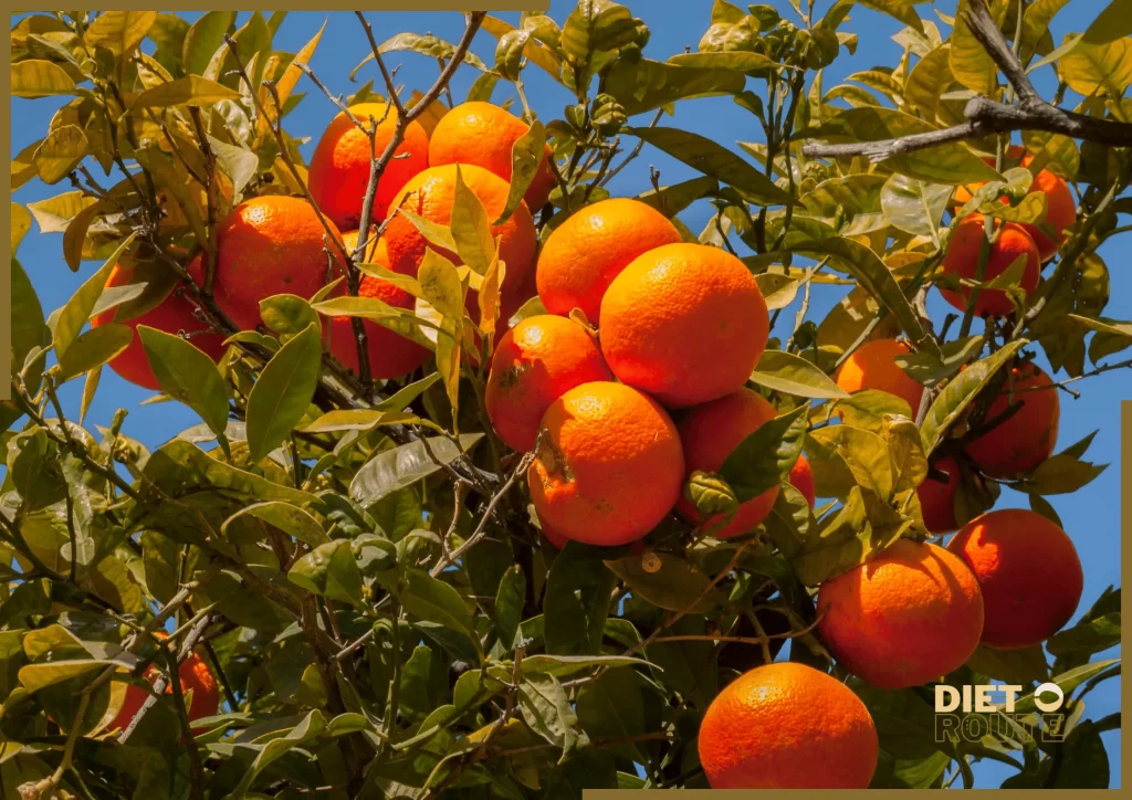 nutritional value clementine