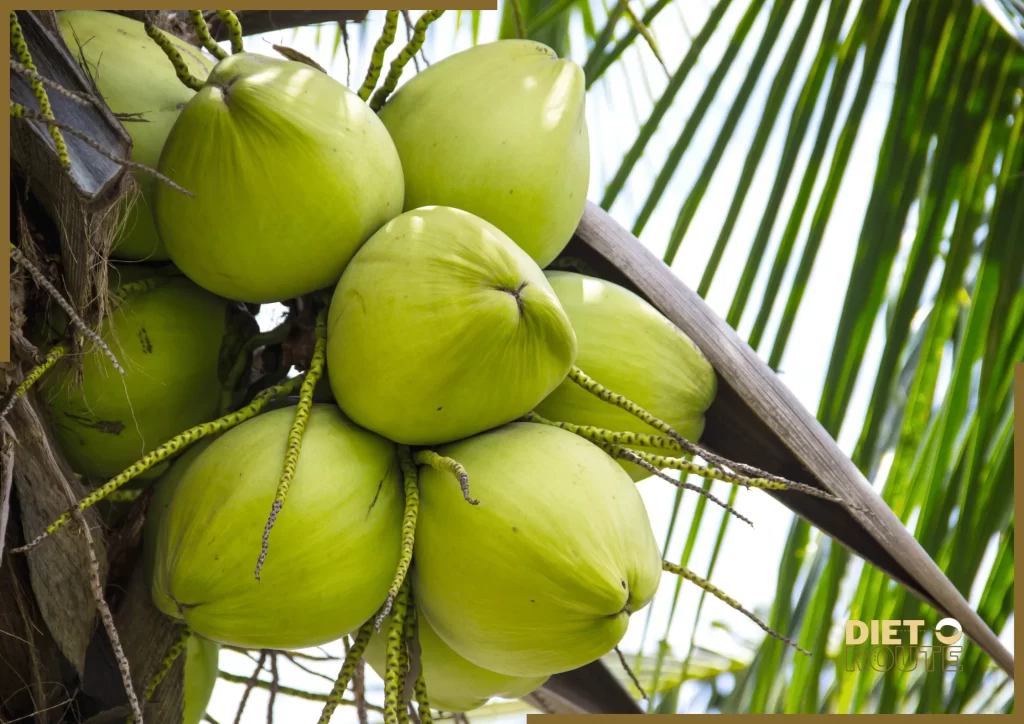 nutritional value coconut