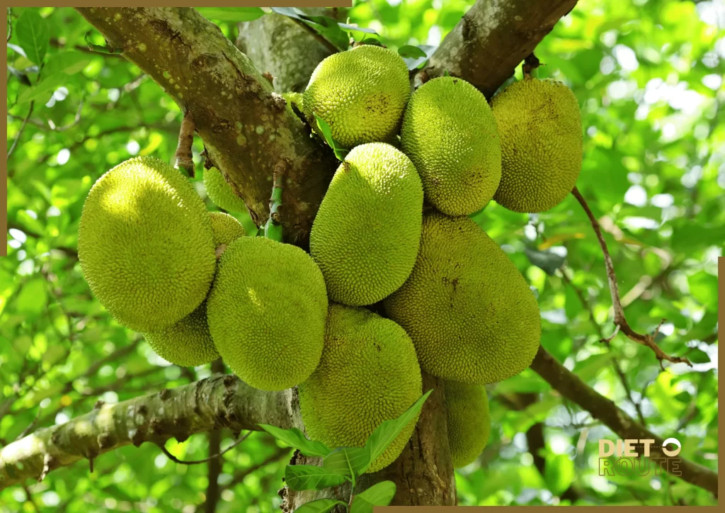 nutritional value jackfruit