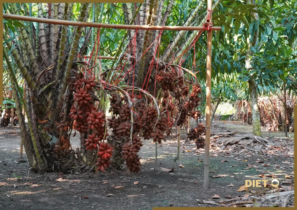 nutritional value salak