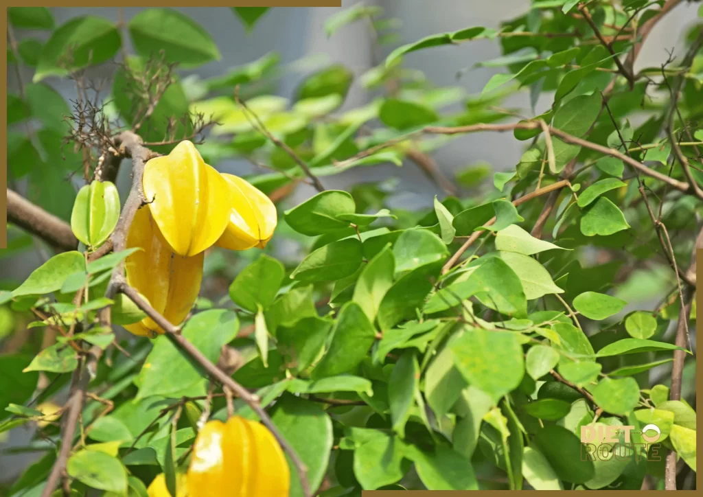 nutritional value starfruit