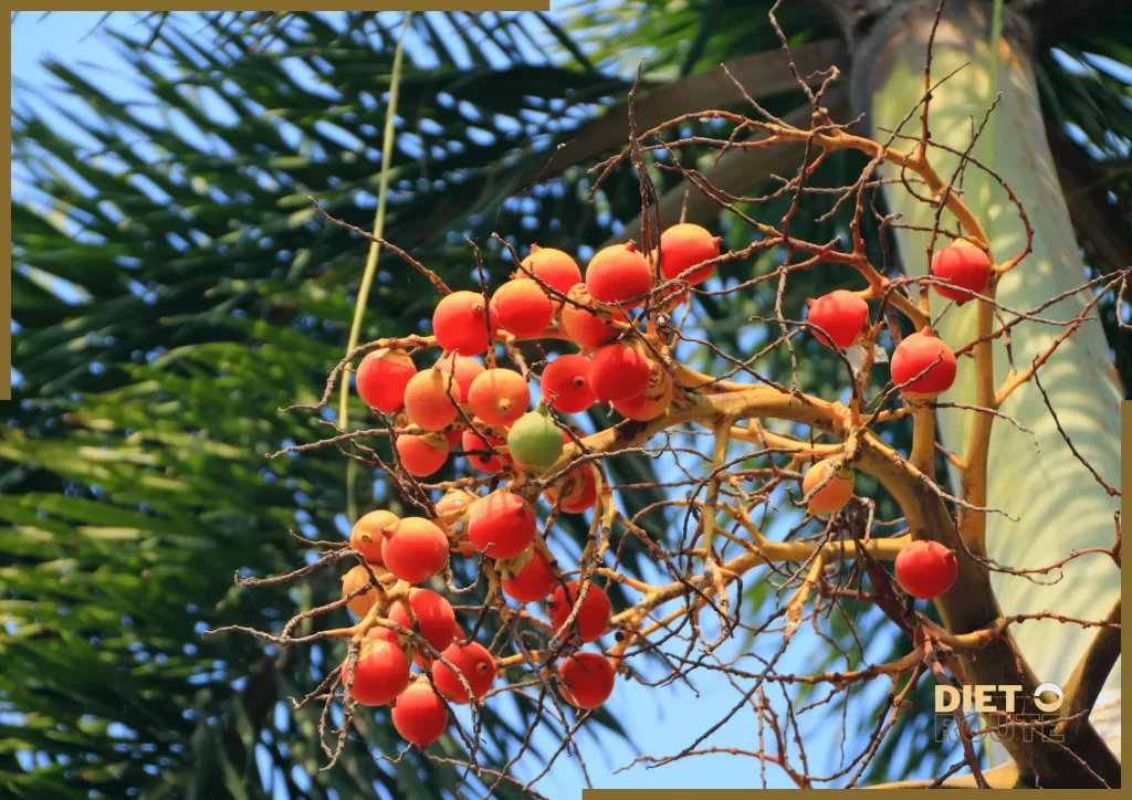 nutritional value betel nuts