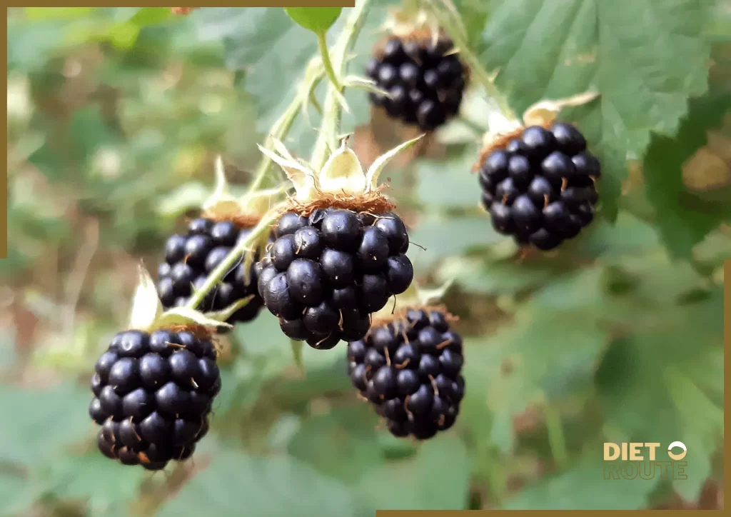 nutritional value blackberries