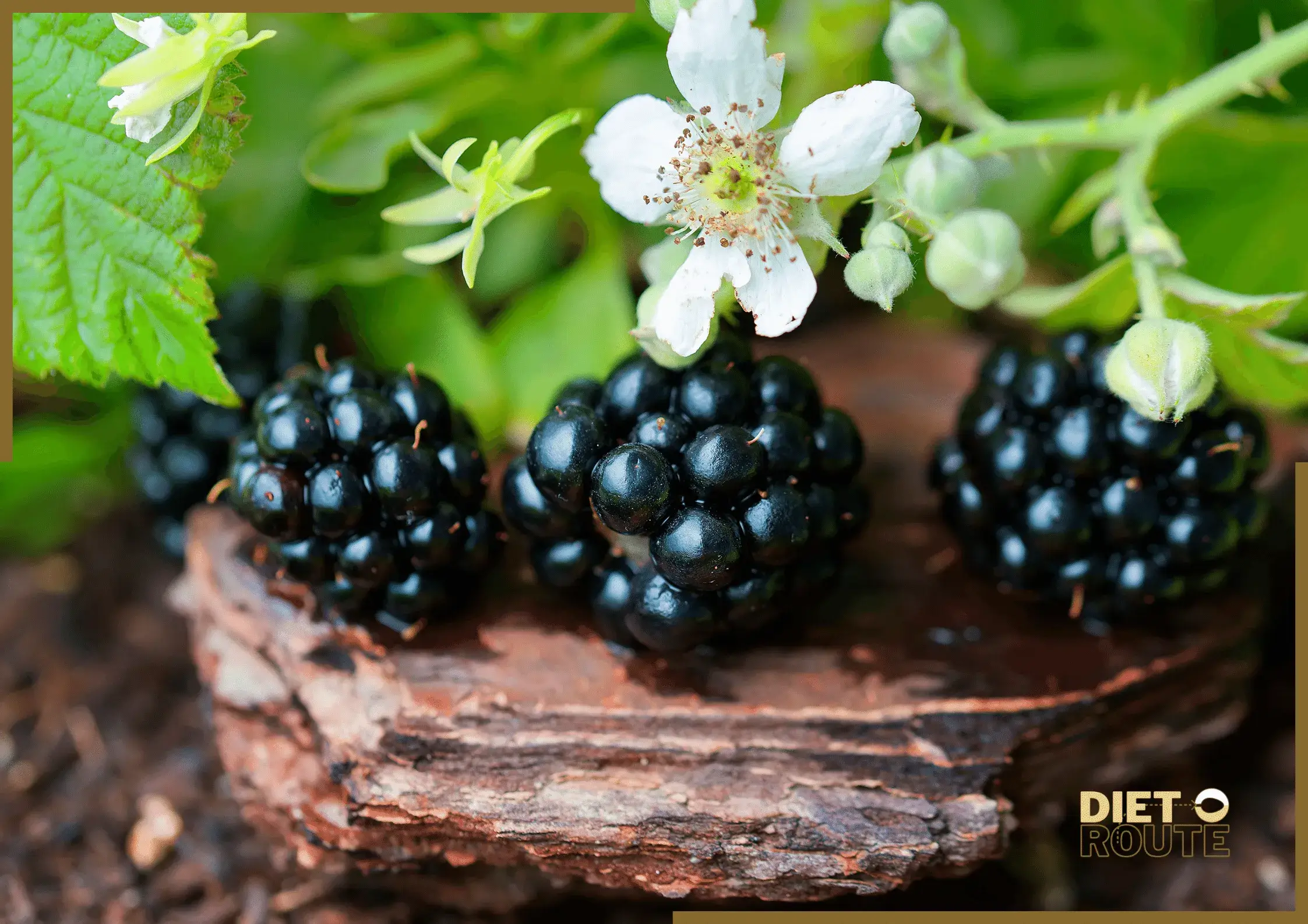 nutritional value blackberries