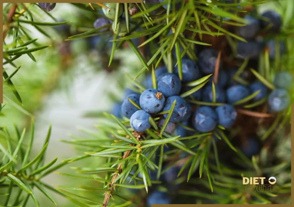 nutritional value blueberries