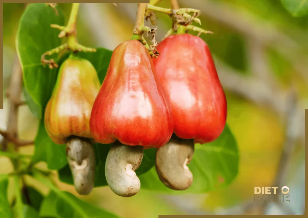 nutritional value cashew nuts