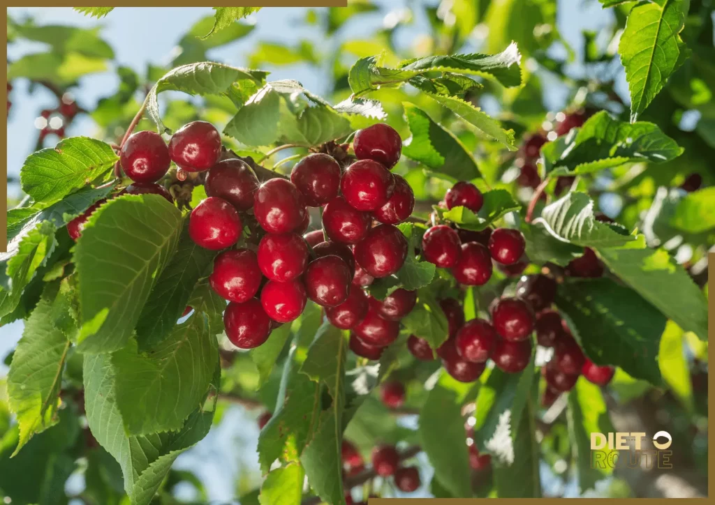 nutritional value cherries