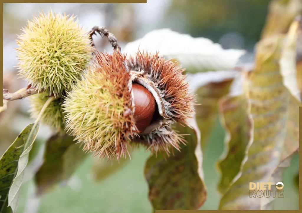 nutritional value chestnuts