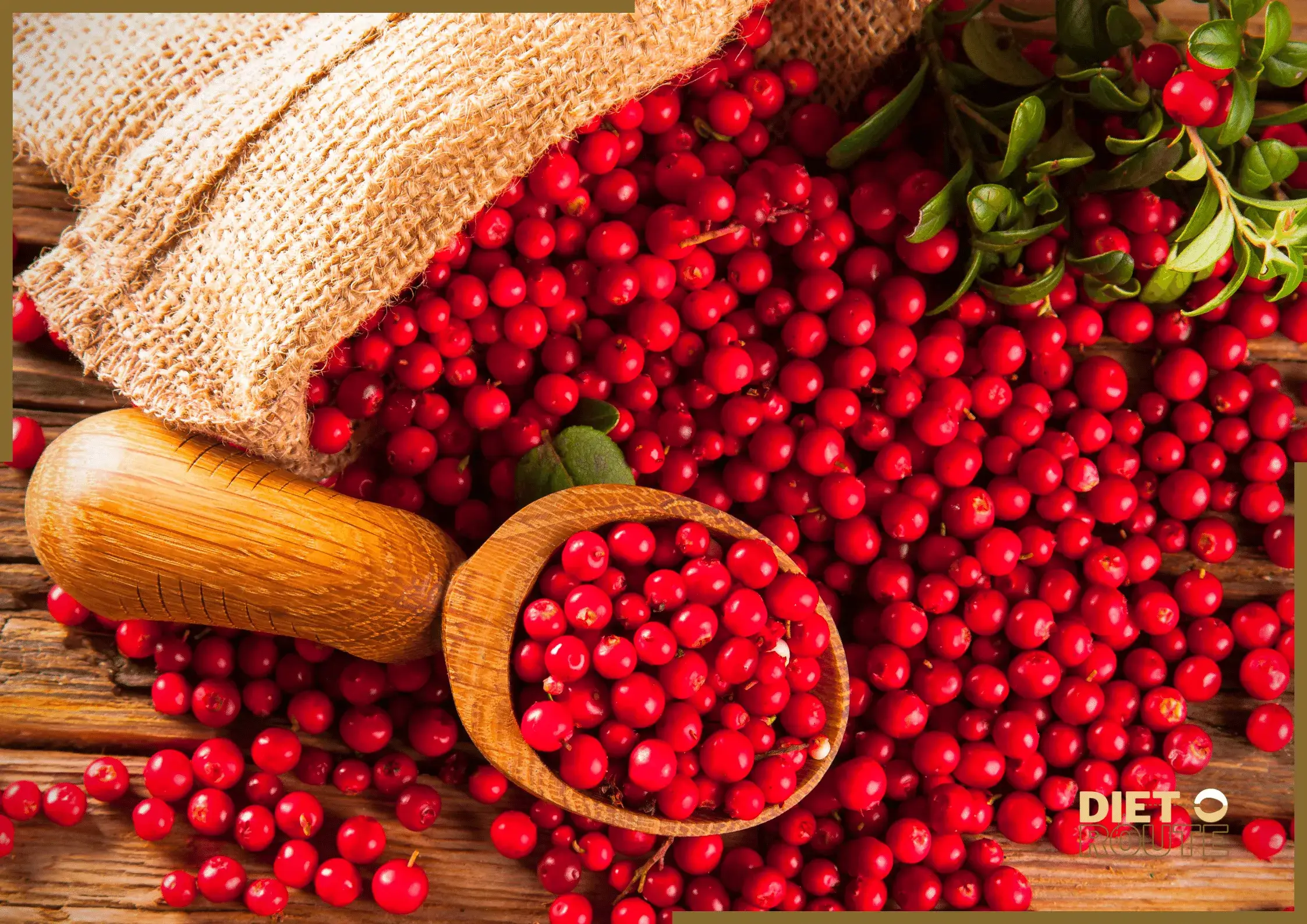 nutritional value cranberries