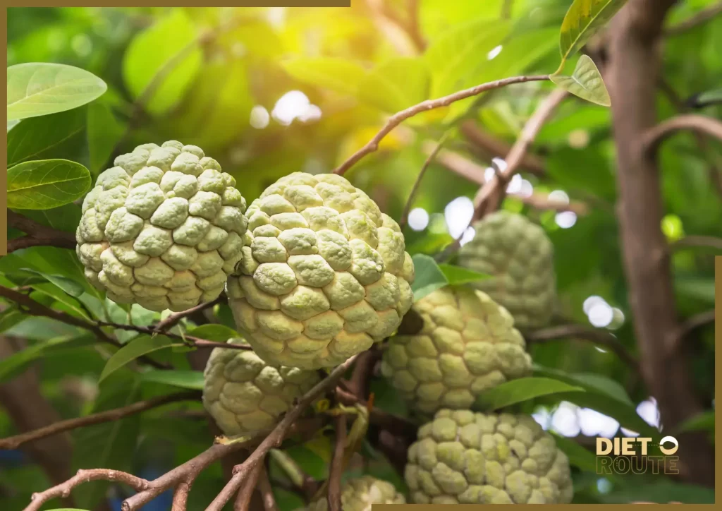 nutritional value custard apple