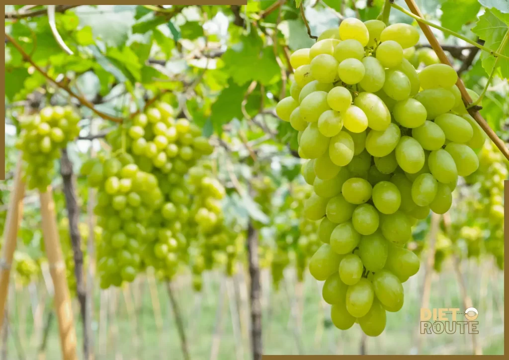 nutritional value grapes