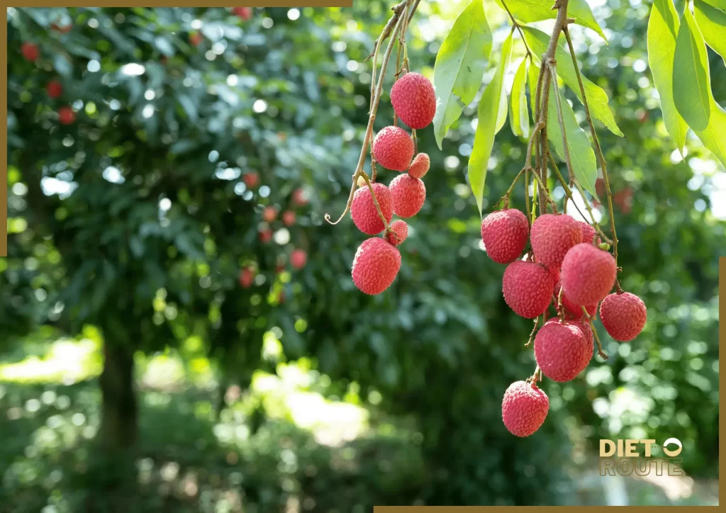 nutritional value lychee