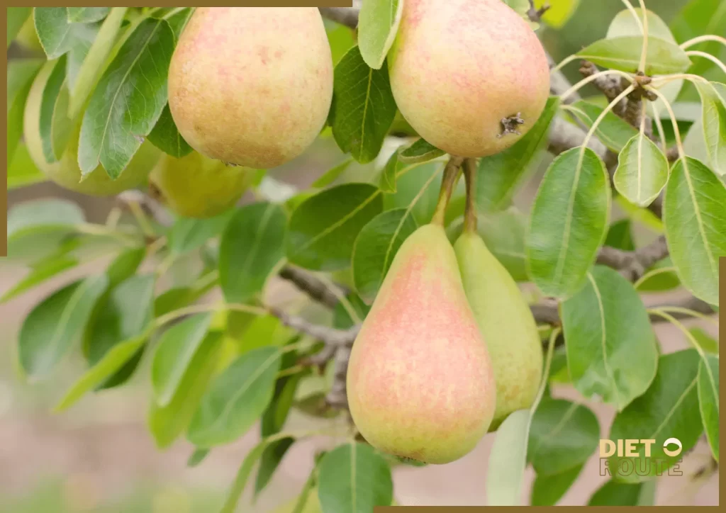 nutritional value pear