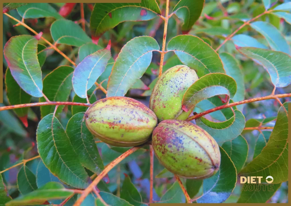 nutritional value pecans