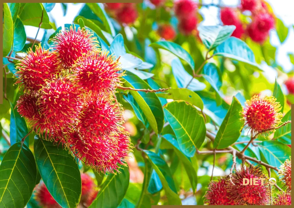 nutritional value rambutan