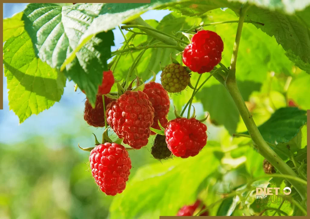 nutritional value raspberries