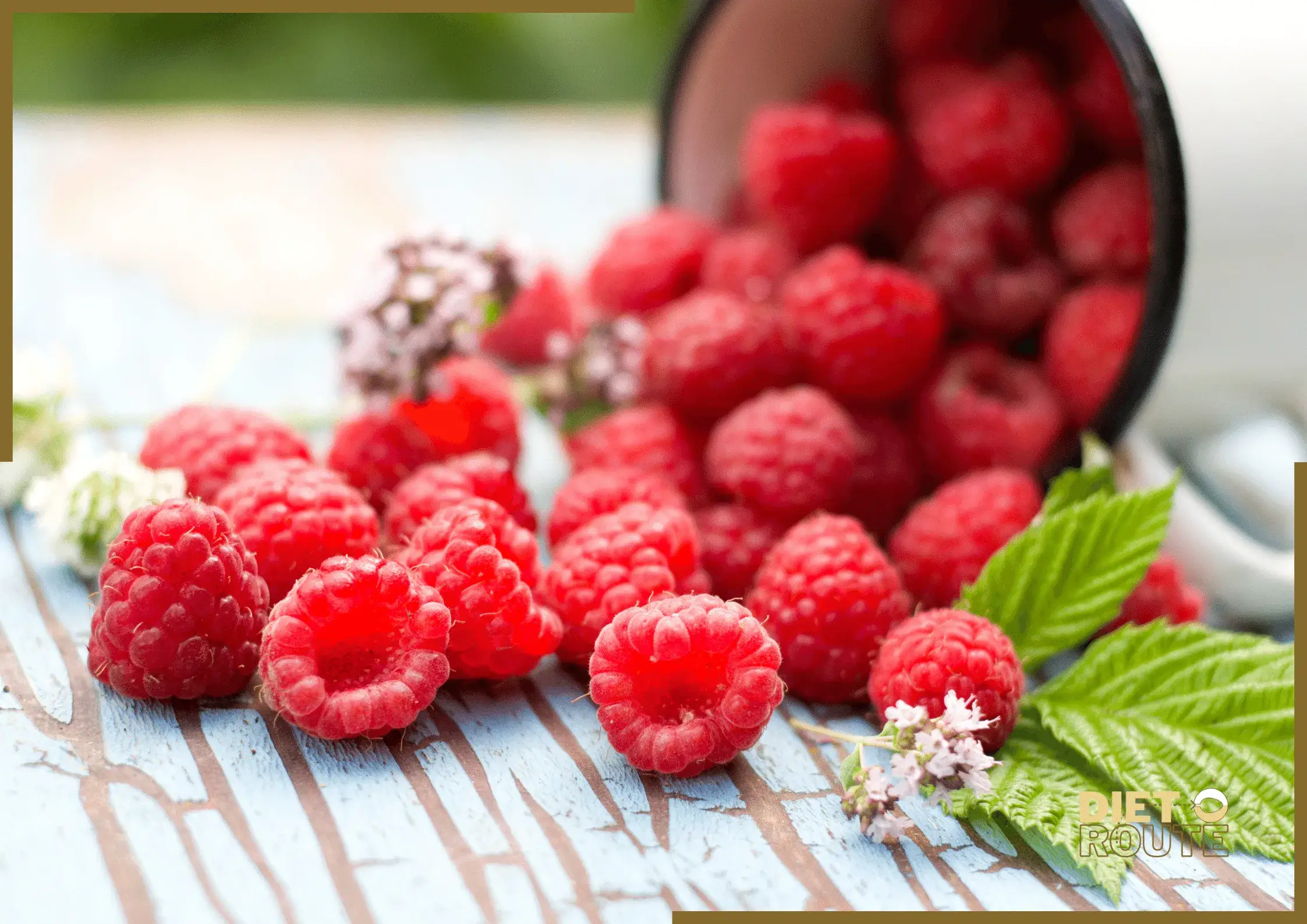 nutritional value raspberries