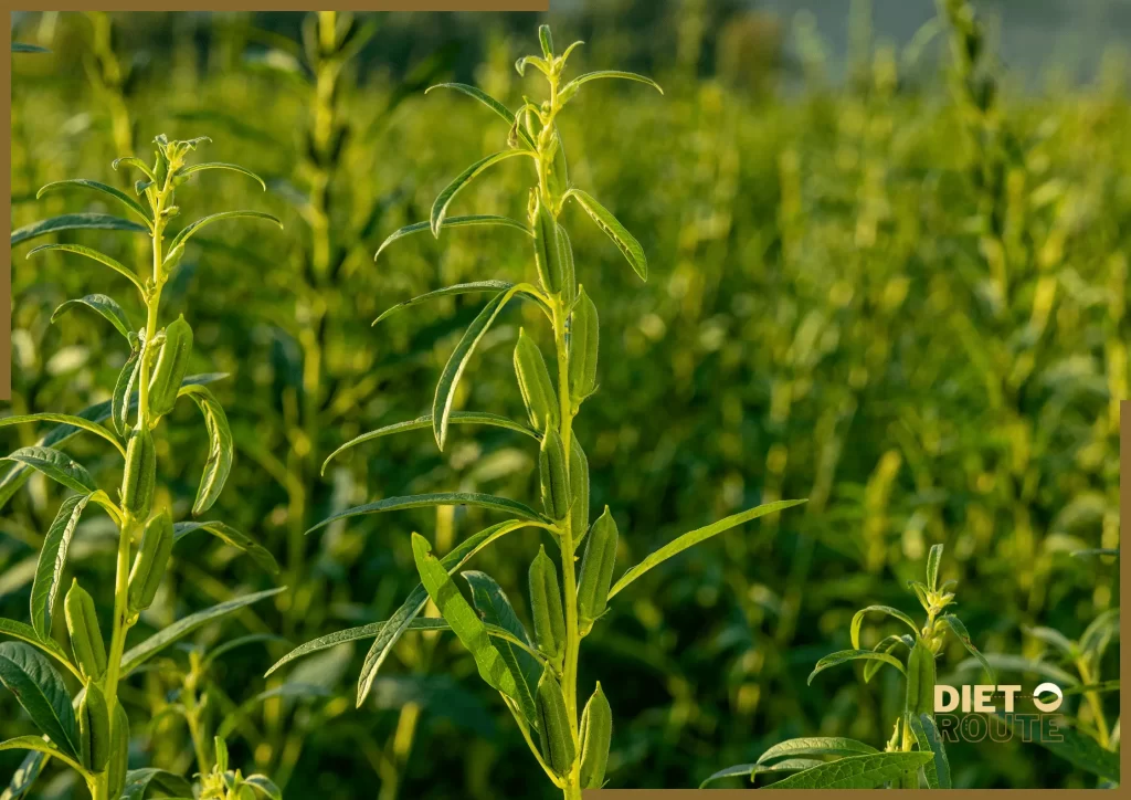 nutritional value sesame seeds