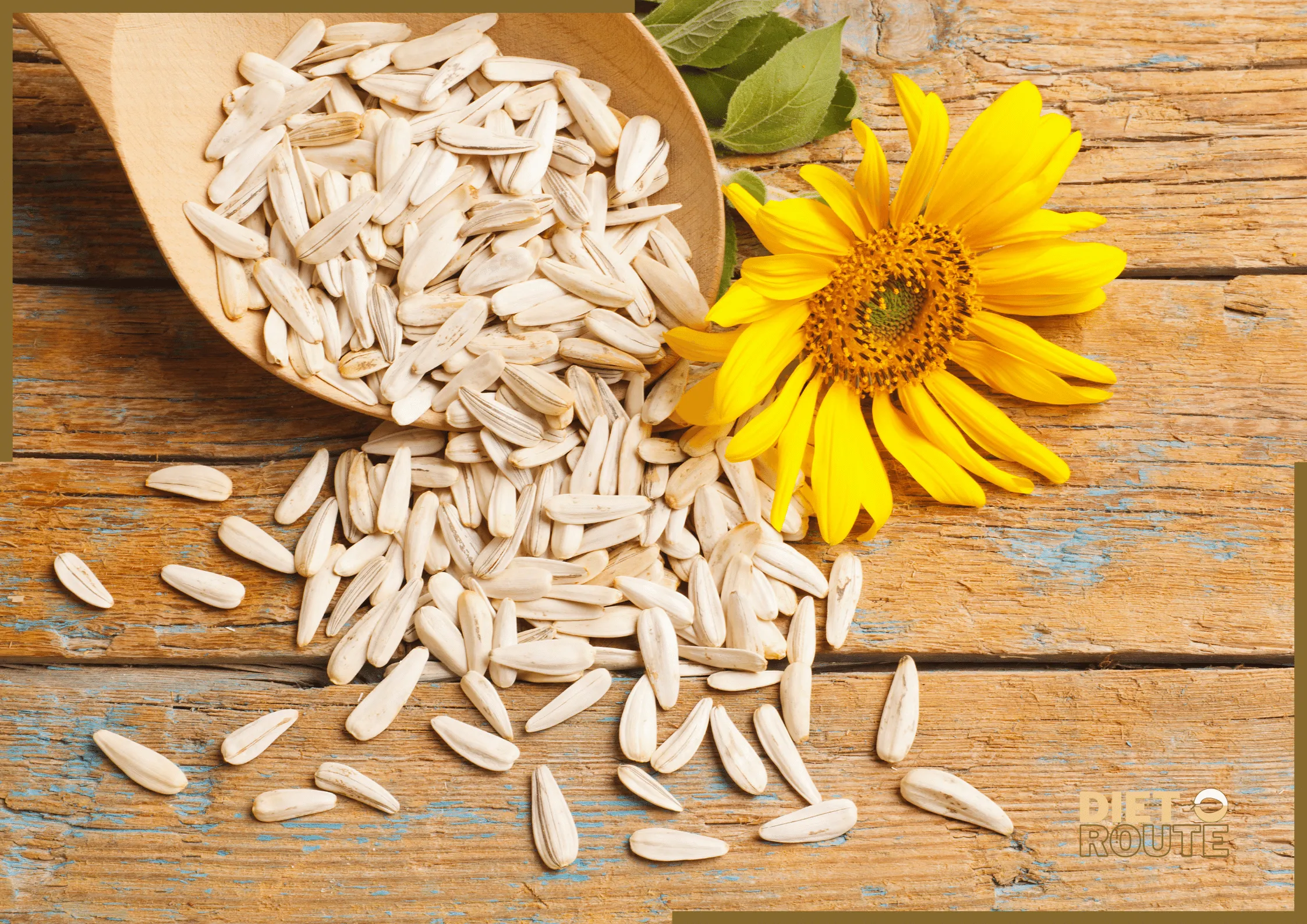 nutritional value sunflower seeds