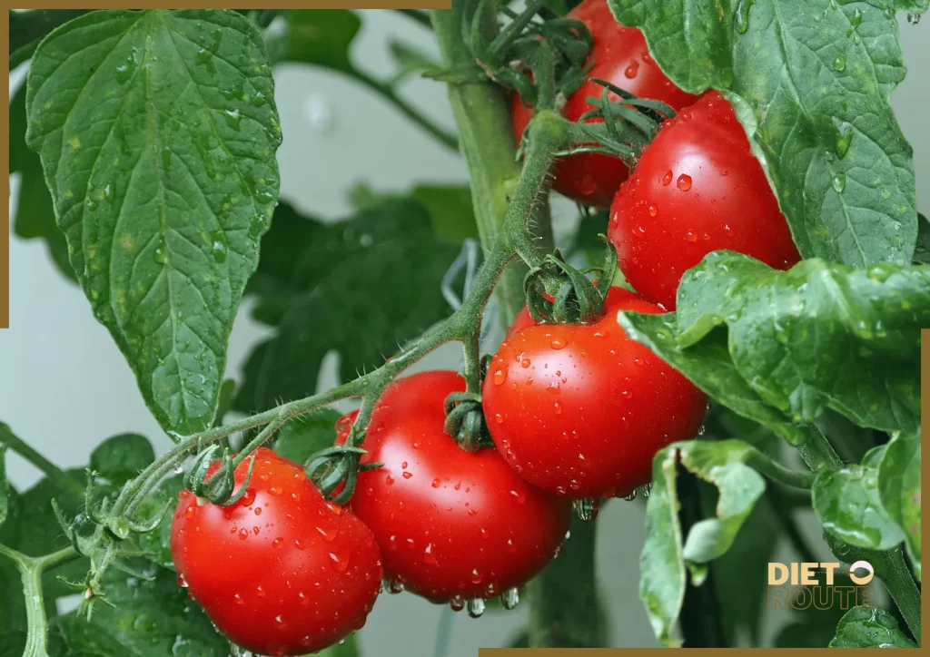 nutritional value tomatoes