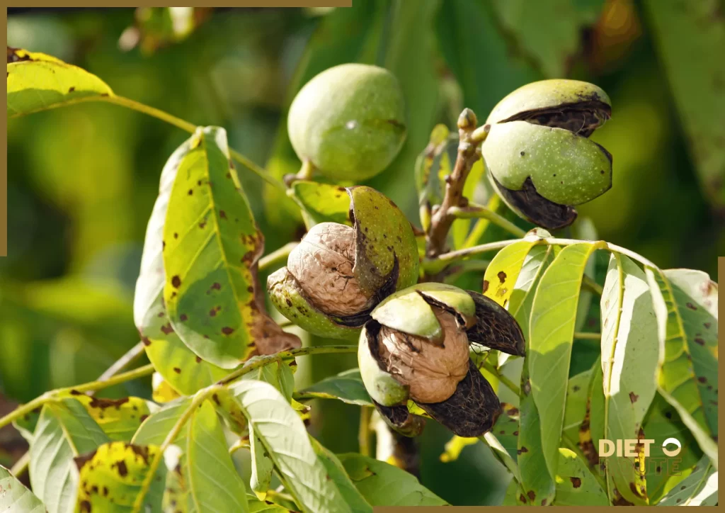 nutritional value walnuts